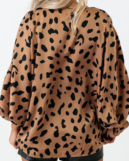 Leopard V-Neck Blouse